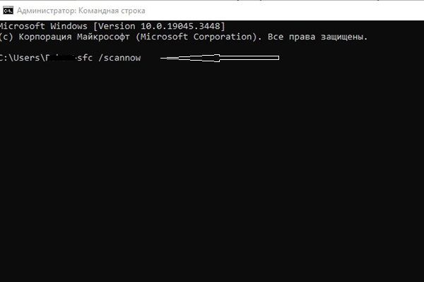Синий экран в Windows: что это такое